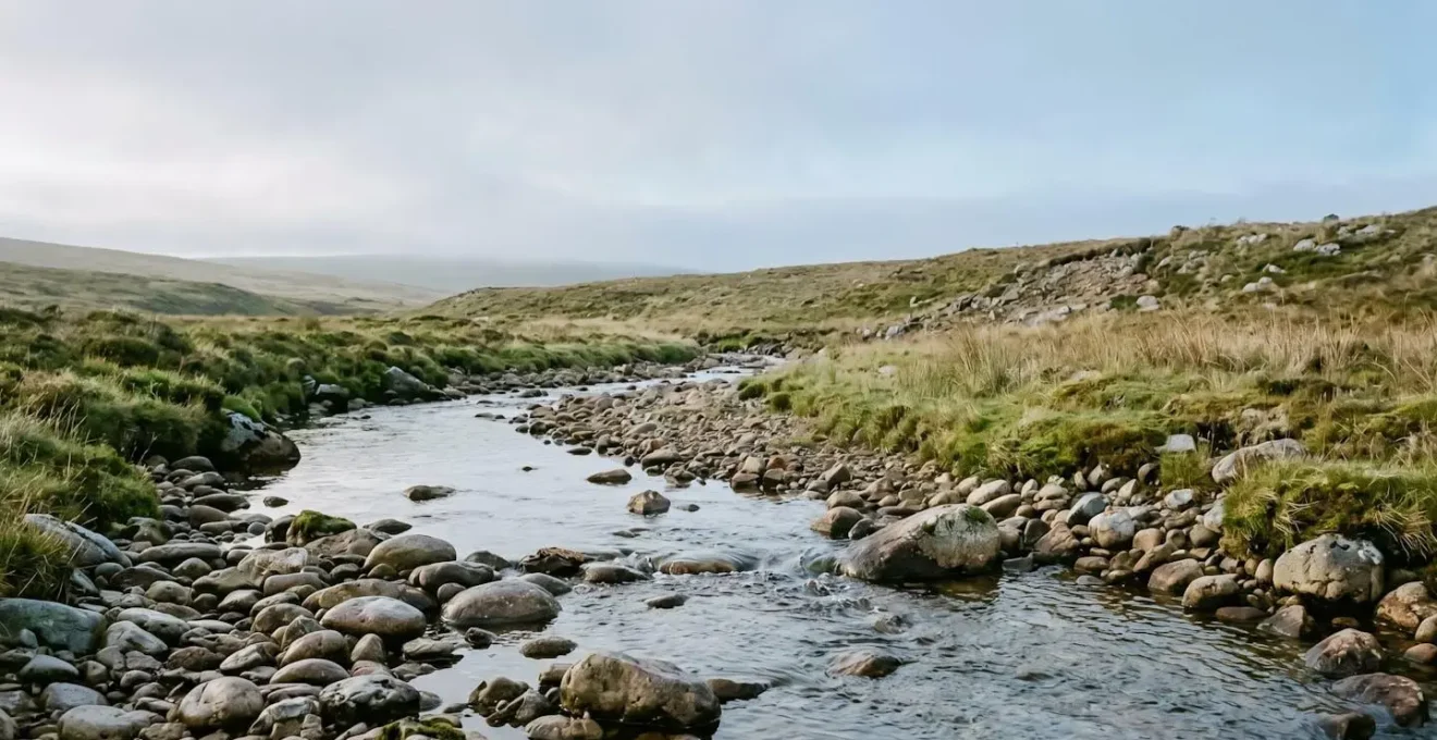 Métaphore visuelle de la croissance naturelle et progressive symbolisant une perte de poids durable