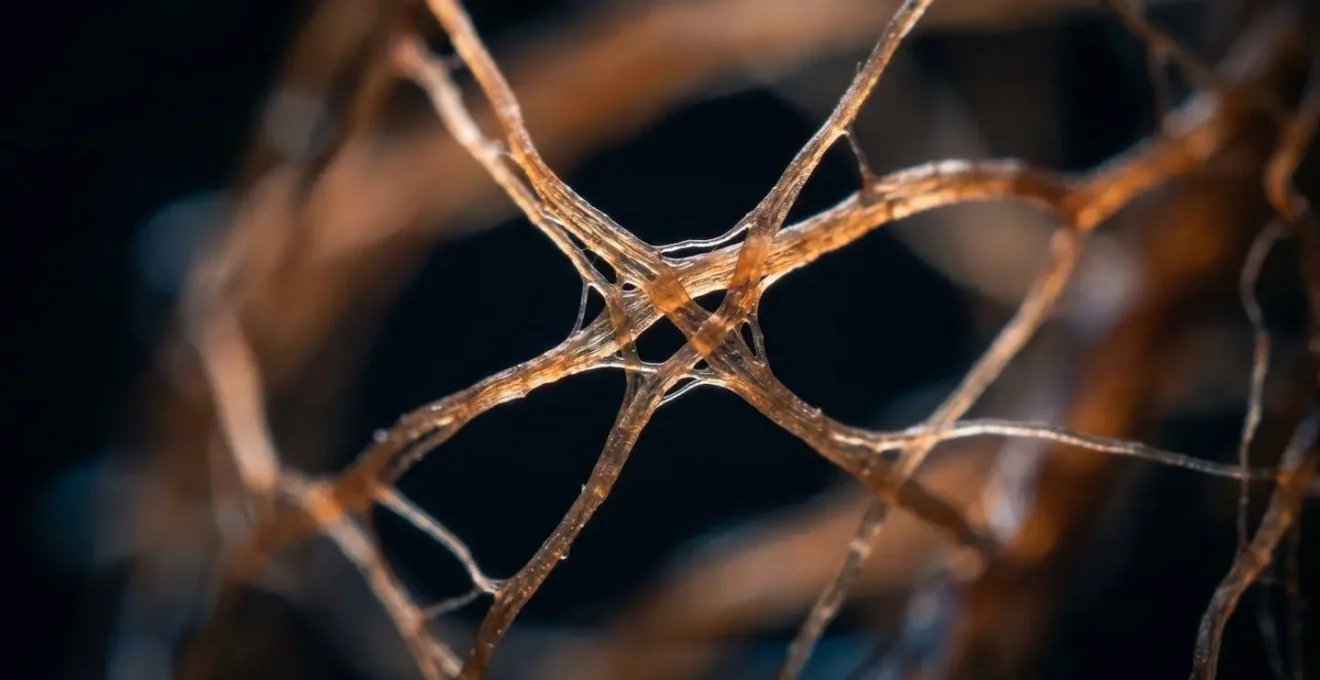 Détail macro des connexions neuronales symbolisant la conscience comme processus biologique
